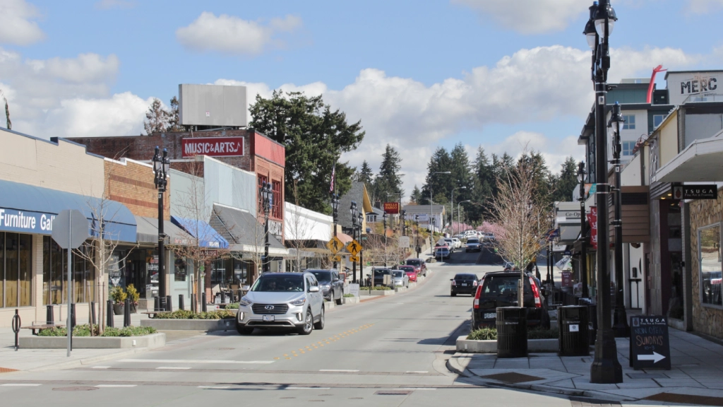 Comfortable Seattle Airport to Bothell Transportation for Every Traveler