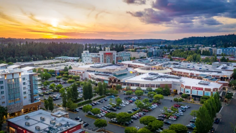 Premium Seattle Tacoma Airport Car Service to Redmond WA